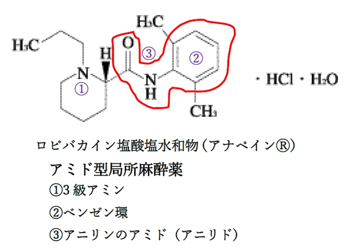 局所麻酔薬の構造の特徴 薬学化学